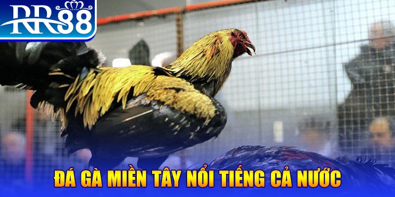 j88 love JILI Game Bài 3d