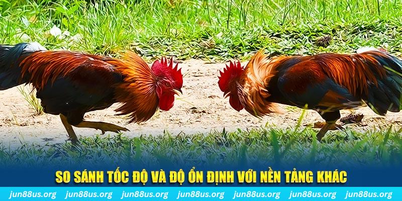 j88 love đá gà hôm nay
