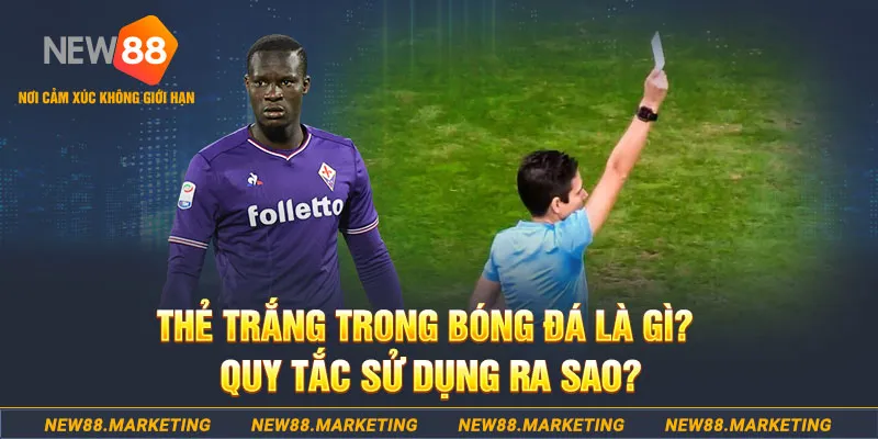 j88 love gà chọi mộc hóa